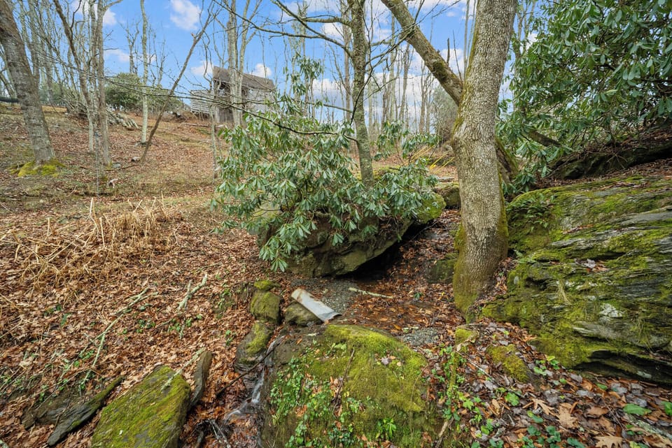 Flowing Brook on the Property