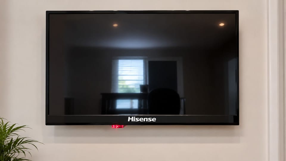 Television