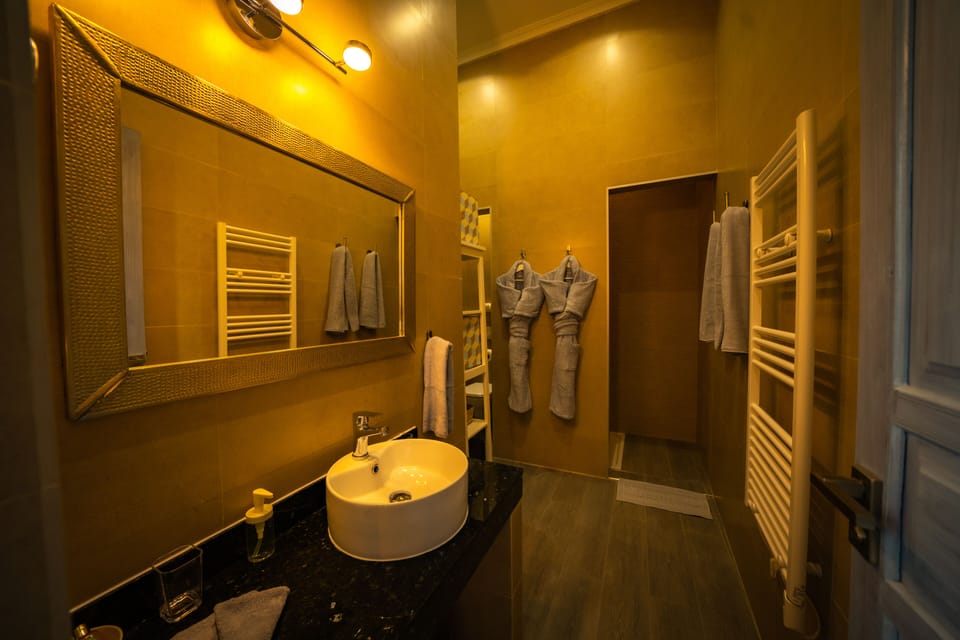 Deluxe Double or Twin Room | Bathroom | Free toiletries, hair dryer, bathrobes, slippers