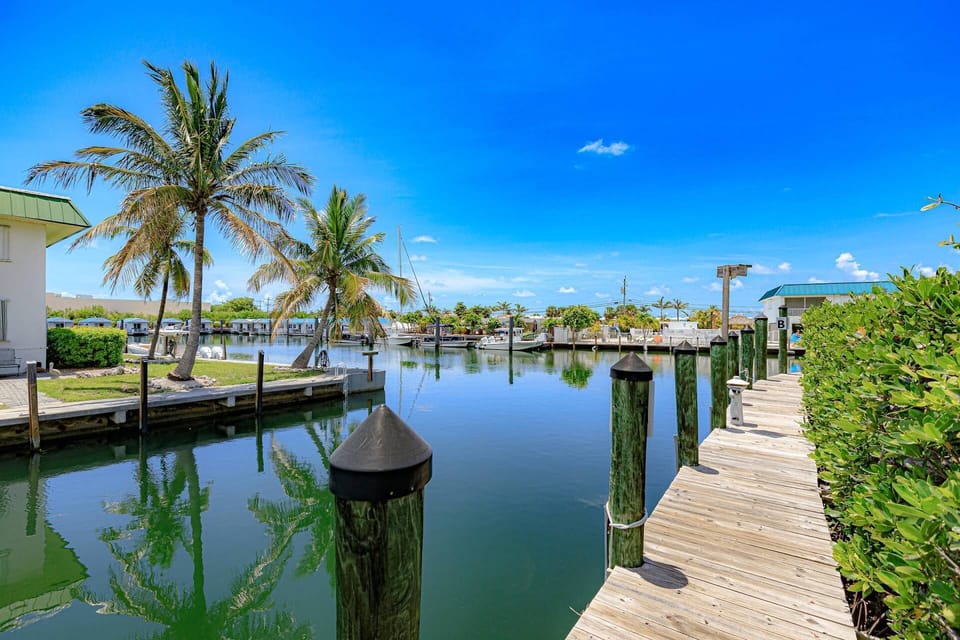 Bring your boat and take advantage of the abundant dockage, offering plenty of space and easy access for all your on-the-water adventures.
