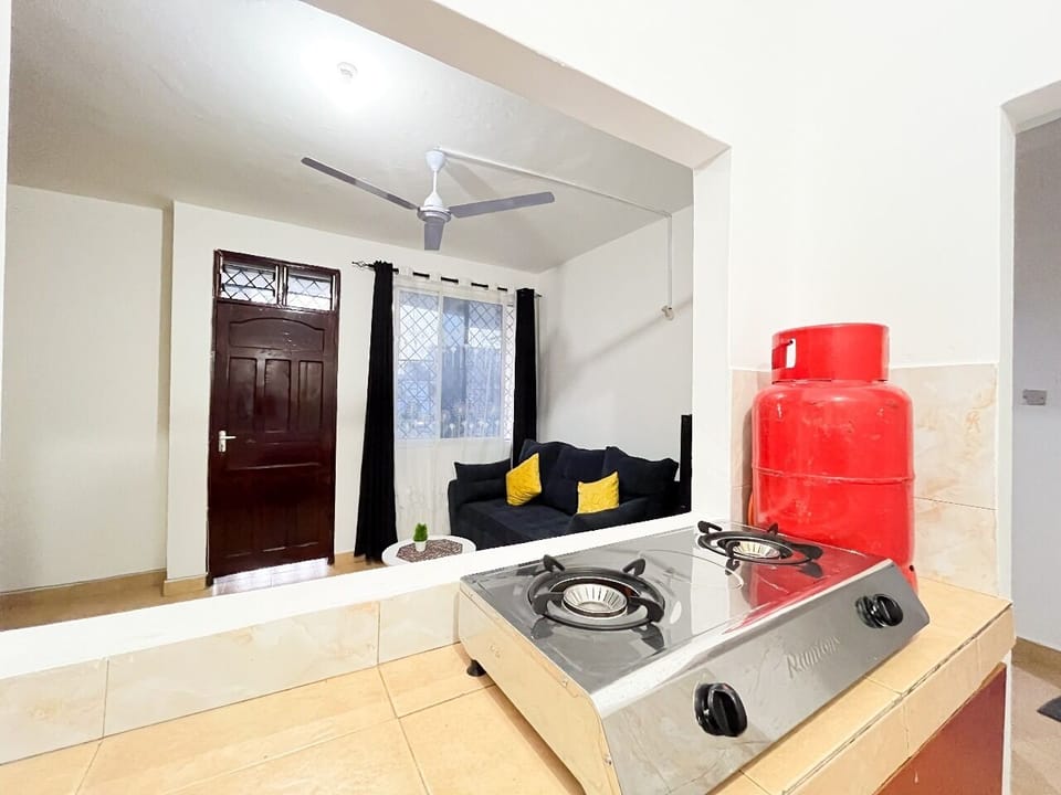 Economy Apartment, Balcony, City View | Private kitchen | Fridge, microwave