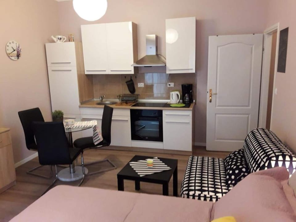Studio (A1) | Private kitchen | Fridge, oven, stovetop, dishwasher