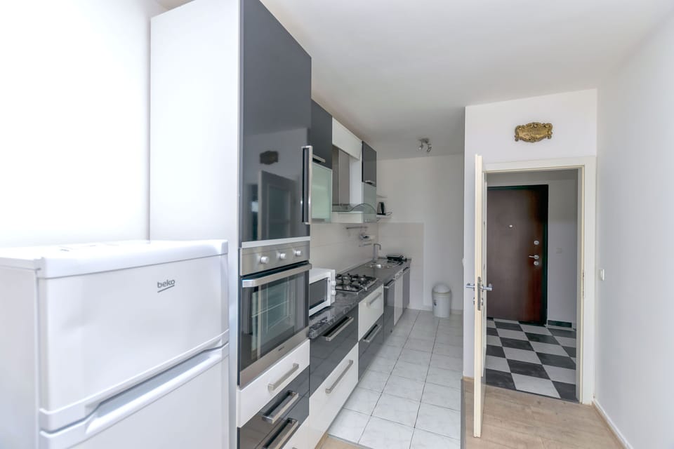 Apartment (A1) | Private kitchen | Fridge, microwave, oven, stovetop