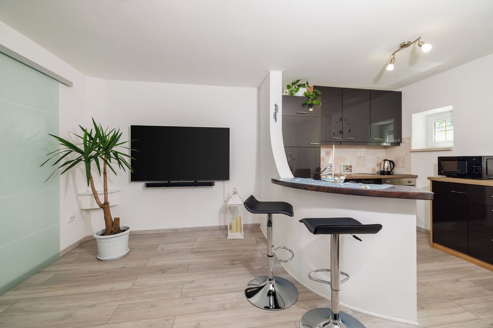 Apartment (A1) | Private kitchen | Fridge, microwave, oven, stovetop