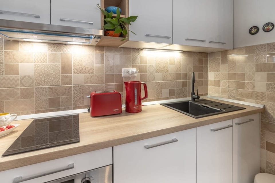Apartment (A1) | Private kitchen | Fridge, microwave, oven, stovetop