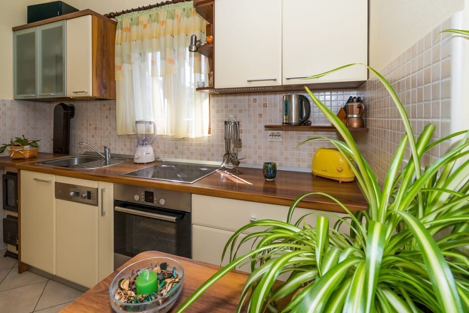 Apartment (A1) | Private kitchen | Fridge, oven, stovetop, dishwasher
