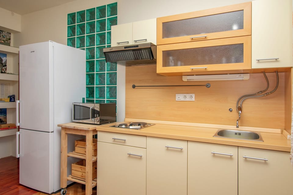 Apartment (A1) | Private kitchen | Fridge, microwave, stovetop, dishwasher
