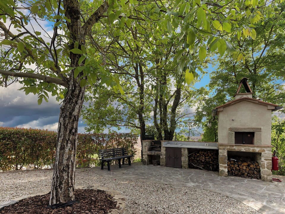 Tree, Trunk, Garden, Twig, Shade, Landscaping, Yard, Backyard, Flagstone, Outdoor Furniture
