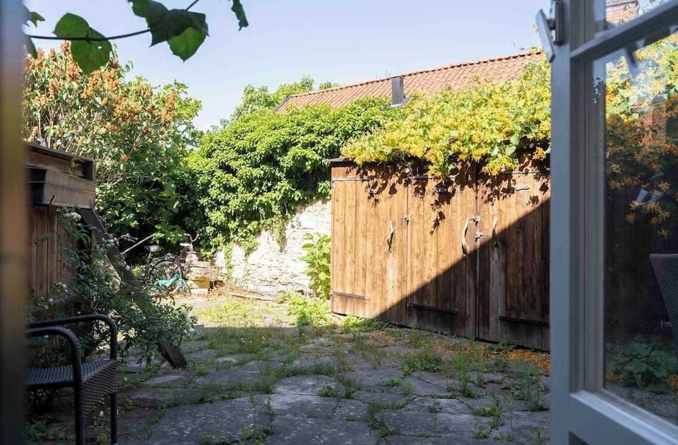 The backyard.
