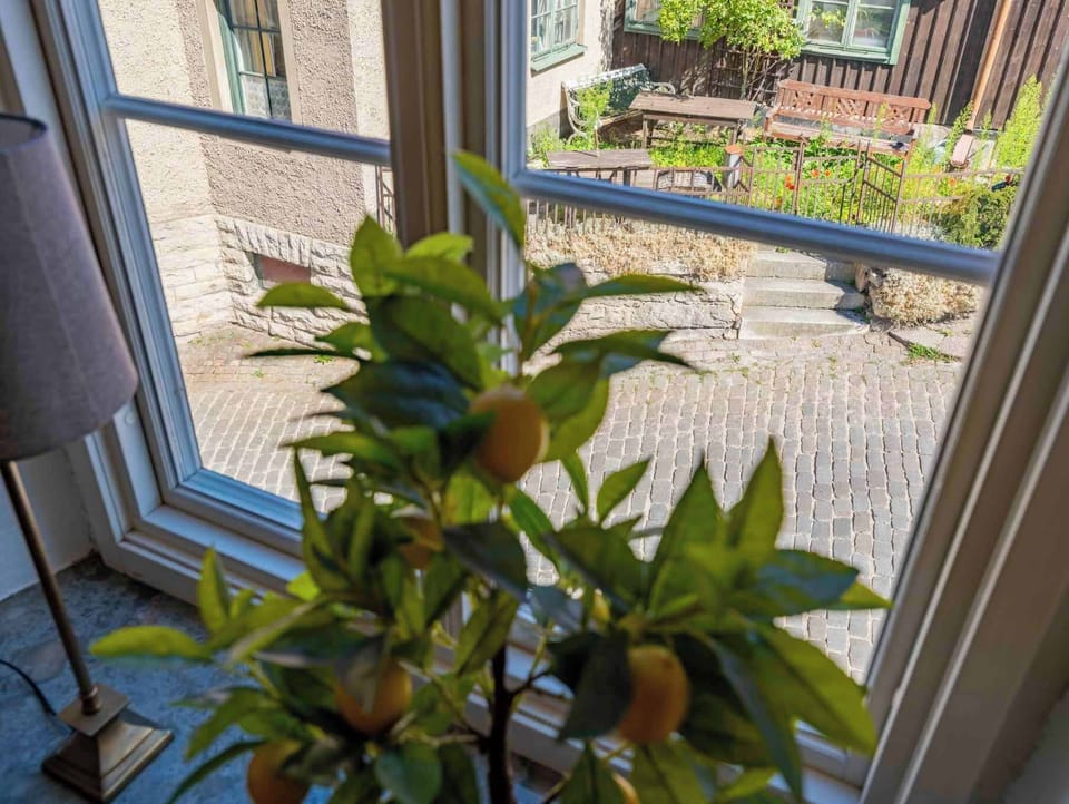 Views from the window. 
