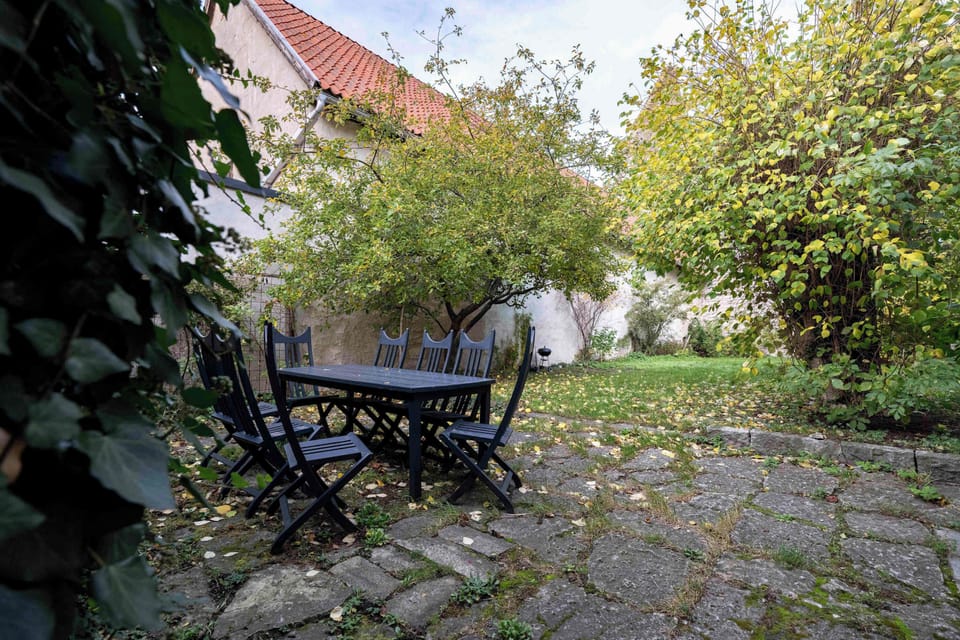 Lots of greenery surrounds the house.