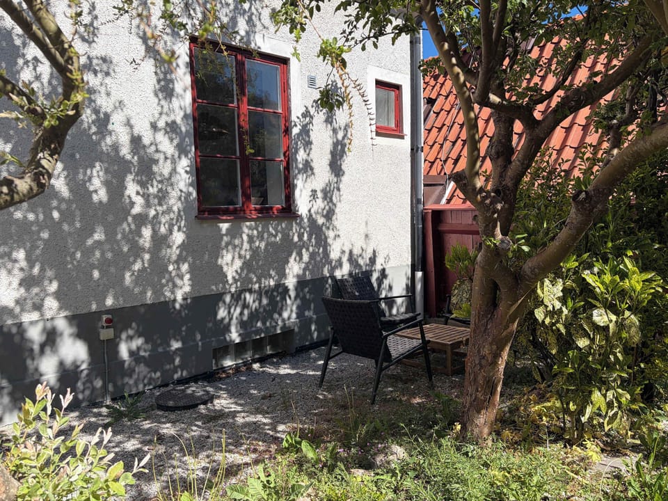 The cosy backyard that you share with two other apartments. 