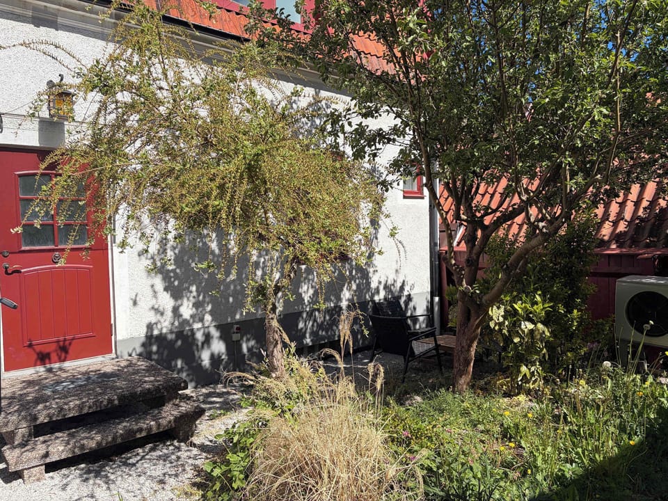 The cosy backyard that you share with two other apartments. 