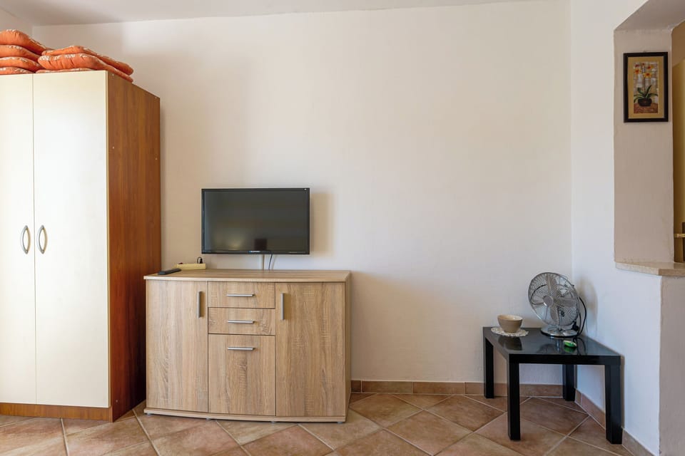 Television