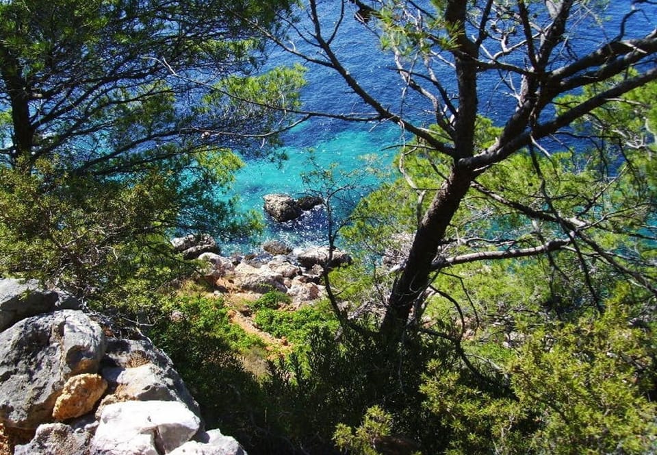 Water view