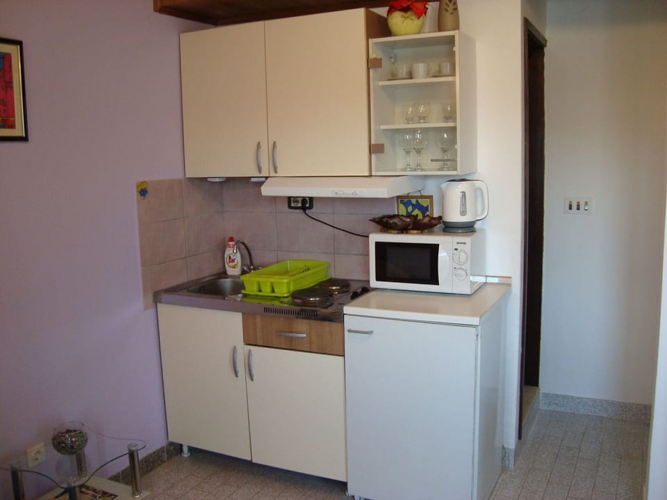 Apartment (A2) | Private kitchen | Fridge, microwave, stovetop, espresso maker