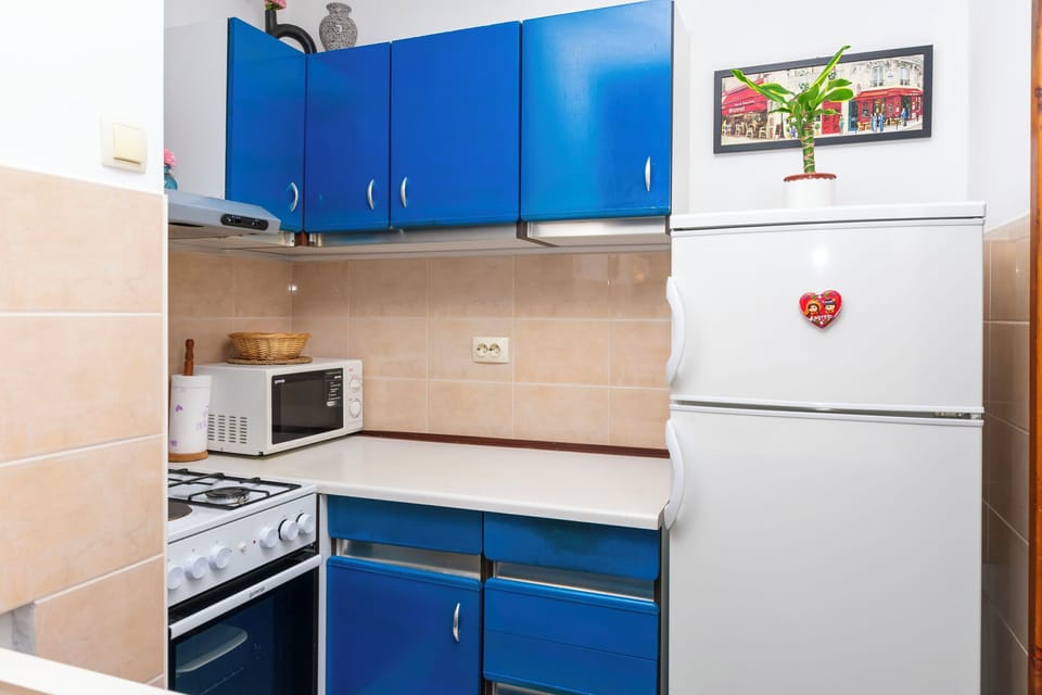 Apartment (A1) | Private kitchen | Fridge, microwave, oven, stovetop