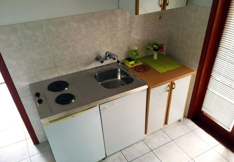 Apartment (A1) | Private kitchen | Fridge, cookware/dishes/utensils