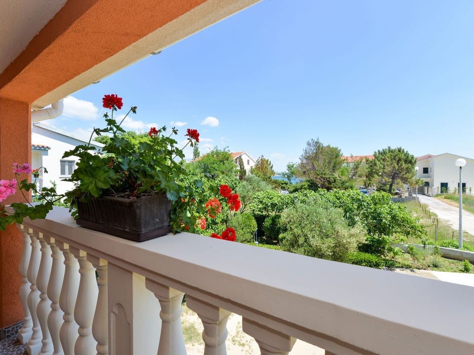 House | Terrace/patio