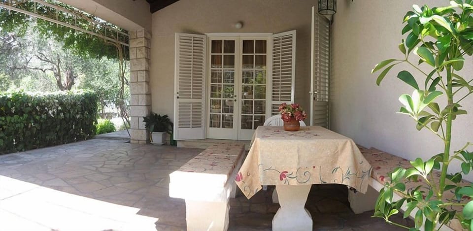 House | Terrace/patio