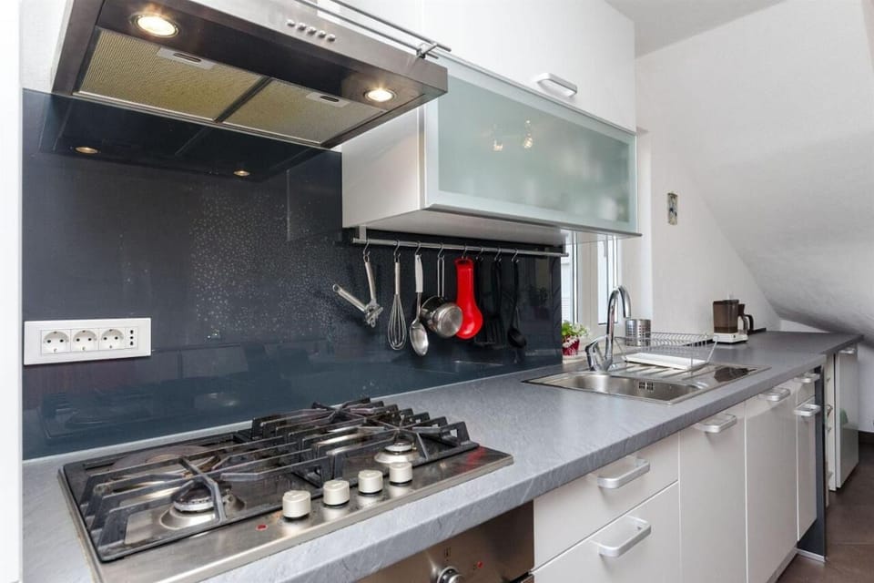 Apartment (A2) | Private kitchen | Fridge, oven, stovetop, dishwasher
