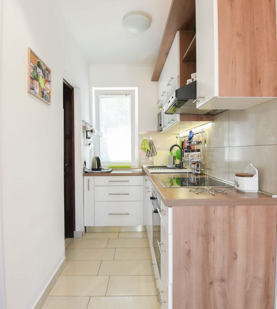 Apartment (A1) | Private kitchen | Fridge, microwave, oven, stovetop