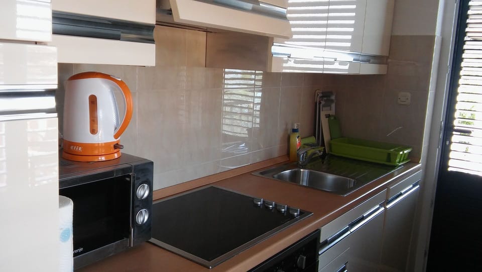 Apartment (A1) | Private kitchen | Fridge, microwave, oven, stovetop