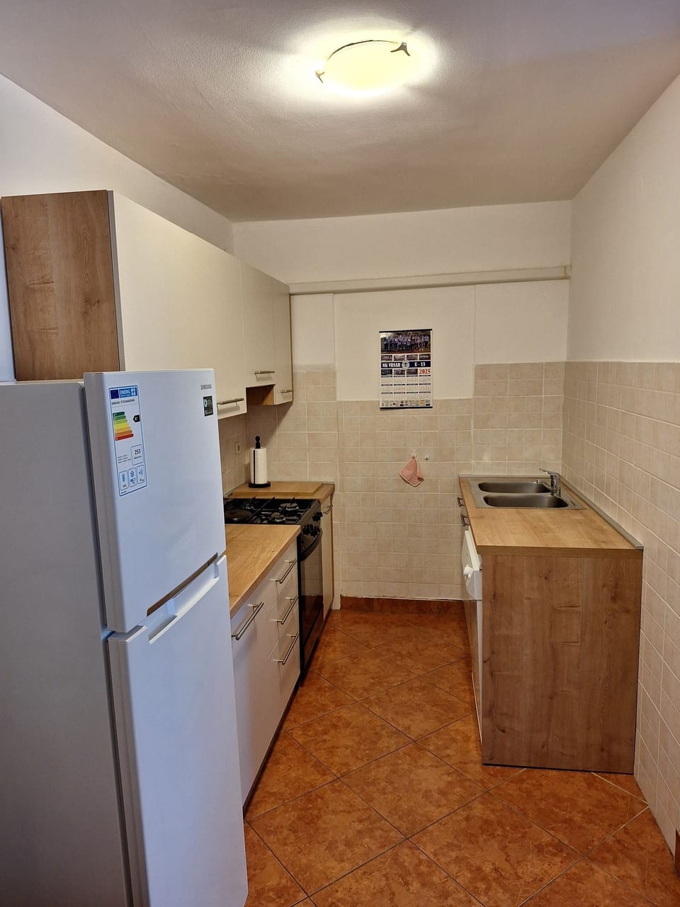 Apartment (A1) | Private kitchen | Fridge, microwave, oven, stovetop
