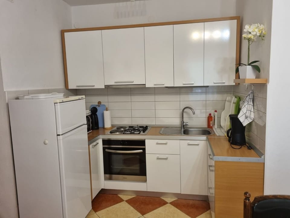 Apartment (A1) | Private kitchen | Fridge, oven, stovetop, electric kettle