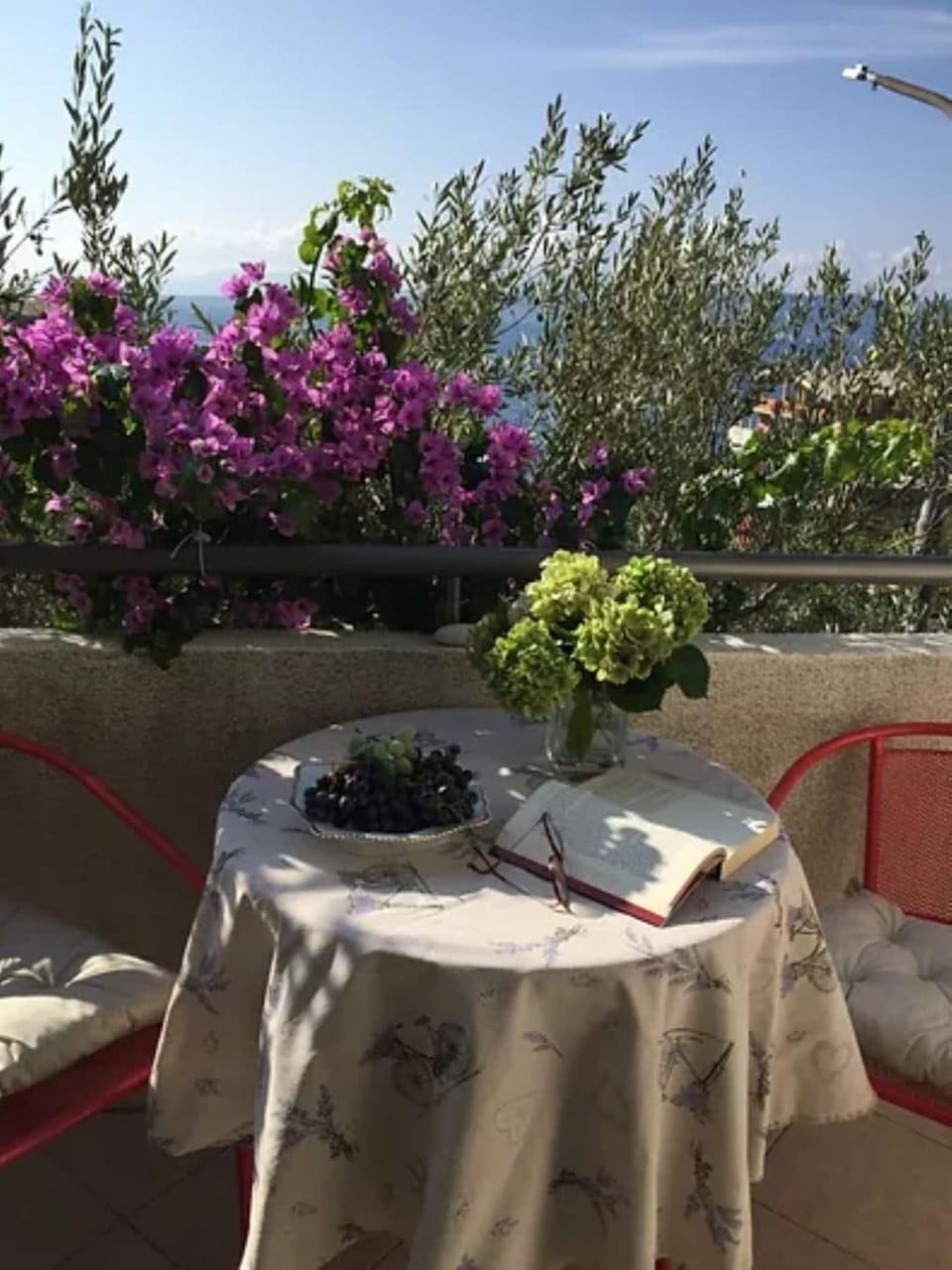 Apartment (A1) | Terrace/patio