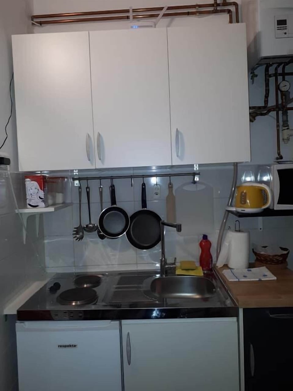 Apartment (A1) | Private kitchen | Fridge, microwave, stovetop, electric kettle