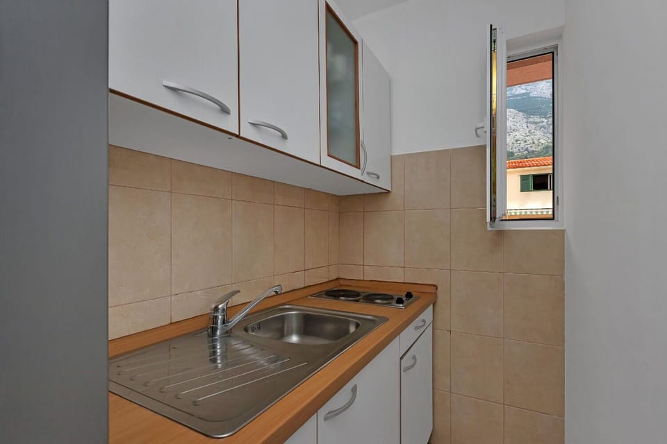 Apartment (A1) | Private kitchen | Fridge, microwave, stovetop, electric kettle
