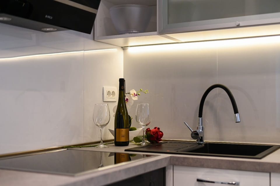 Apartment (A1) | Private kitchen | Fridge, microwave, oven, stovetop
