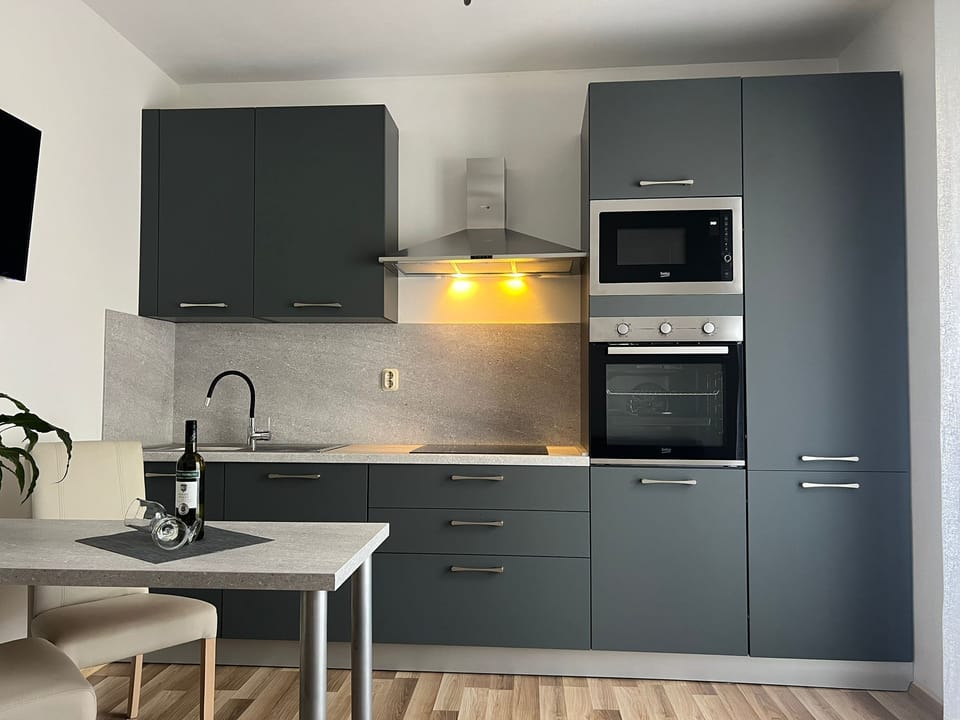 Apartment (A1) | Private kitchen | Fridge, stovetop, dishwasher, electric kettle