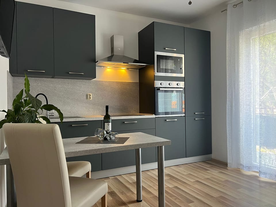 Apartment (A1) | Private kitchen | Fridge, stovetop, dishwasher, electric kettle