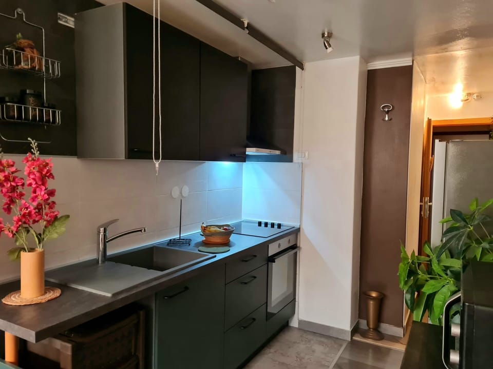 Studio (A1) | Private kitchen | Espresso maker, fridge, microwave, oven