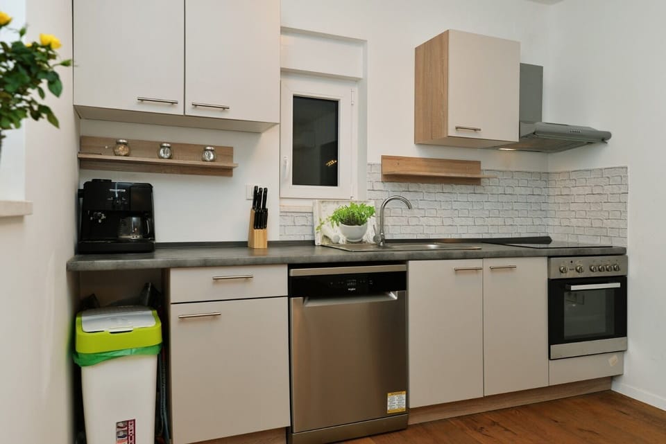 Apartment (A1) | Private kitchen | Fridge, oven, stovetop, dishwasher
