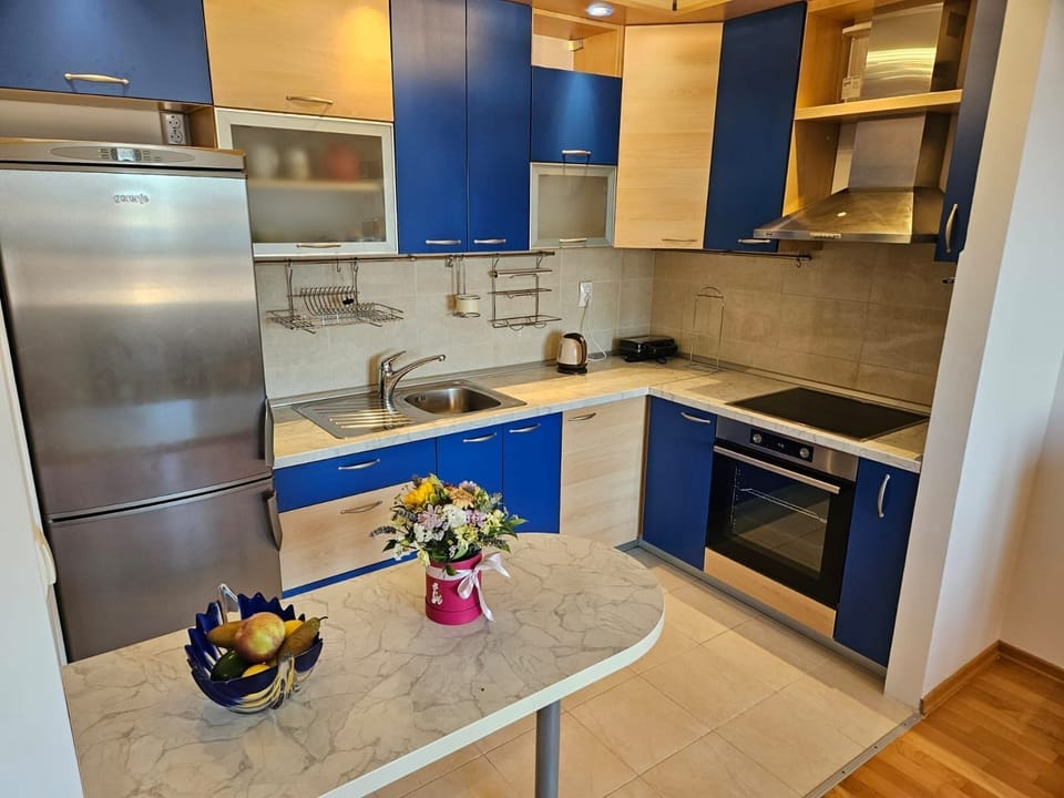 Apartment (A1) | Private kitchen | Fridge, oven, stovetop, electric kettle