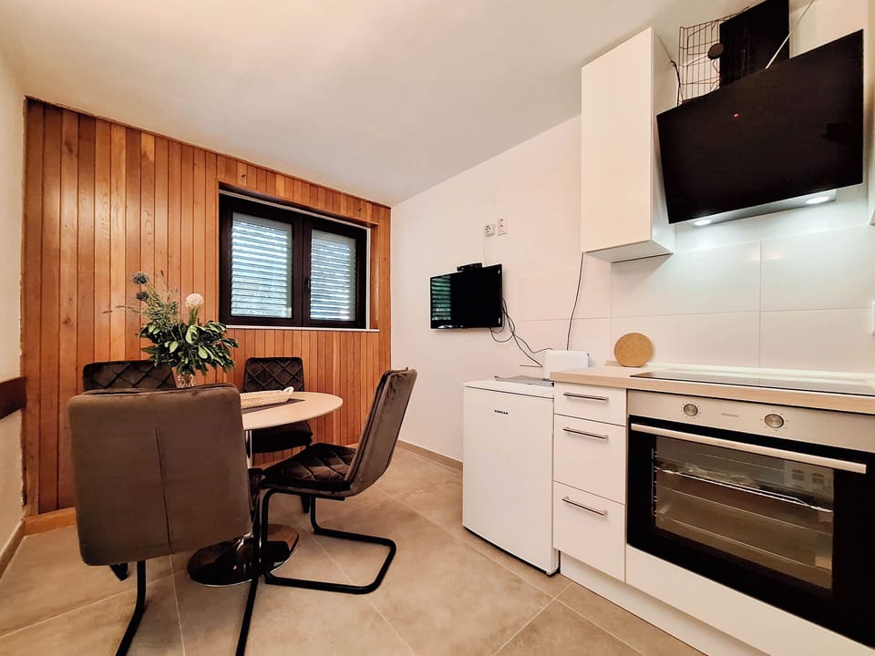 Apartment (A1) | Private kitchen | Fridge, oven, stovetop, dishwasher