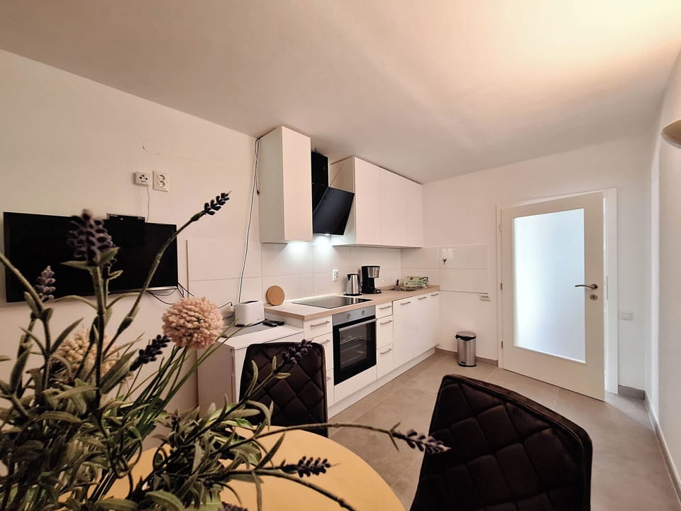 Apartment (A1) | Private kitchen | Fridge, oven, stovetop, dishwasher