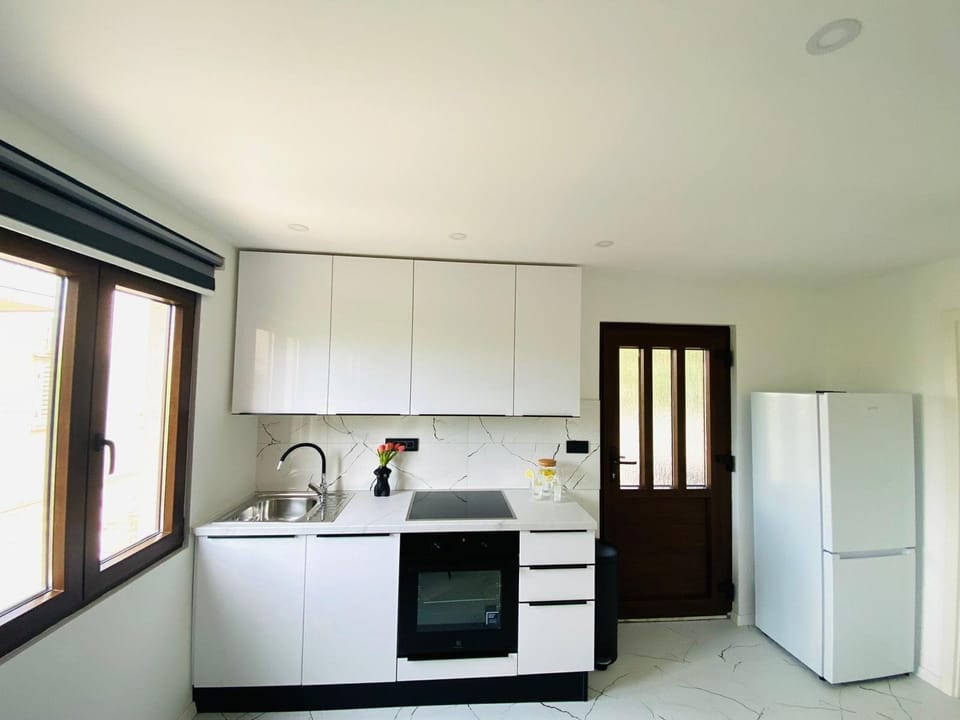 Apartment (A1) | Private kitchen | Fridge, oven, stovetop, espresso maker