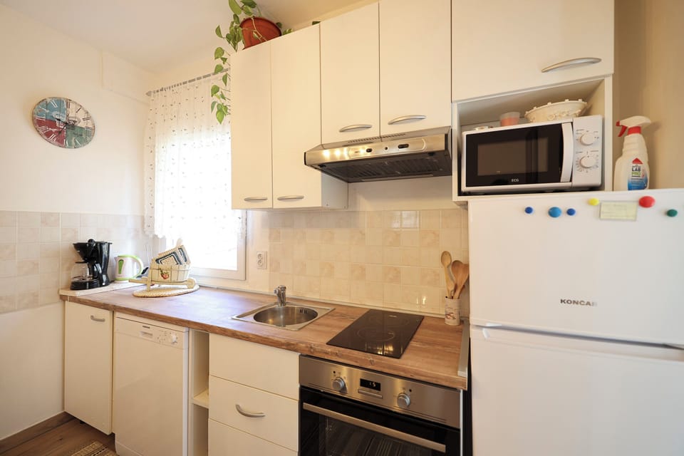 Apartment (A1) | Private kitchen | Fridge, microwave, oven, stovetop