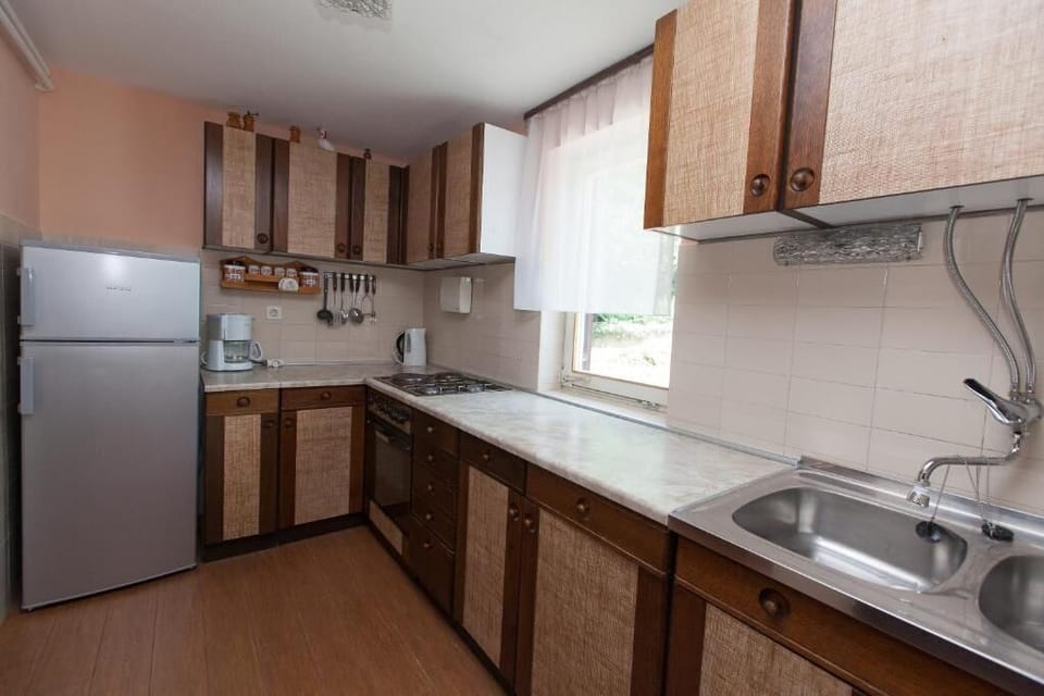 Apartment (A1) | Private kitchen | Fridge, microwave, oven, stovetop