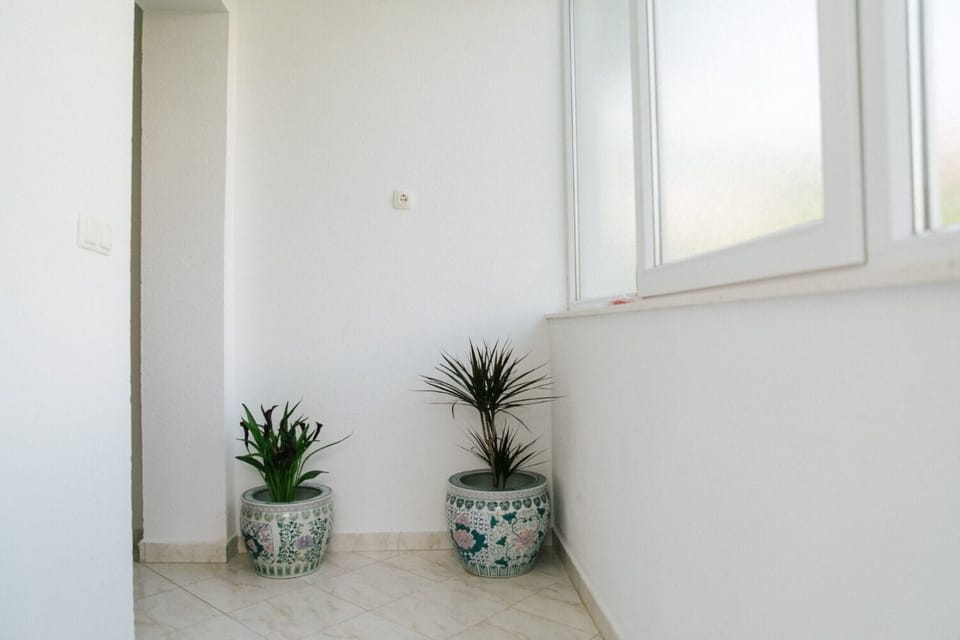Apartment (A1) | Interior entrance