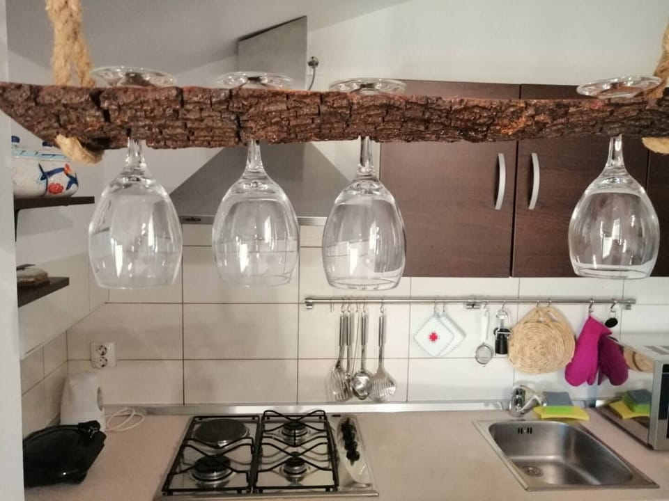 Apartment (A1) | Private kitchen | Fridge, microwave, oven, stovetop