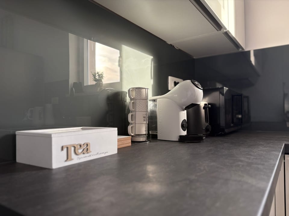 Apartment (A1) | Private kitchen | Fridge, microwave, oven, stovetop