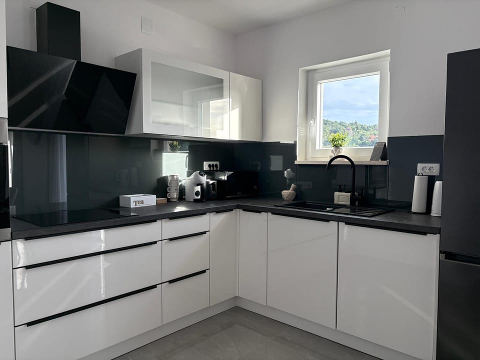 Apartment (A1) | Private kitchen | Fridge, microwave, oven, stovetop