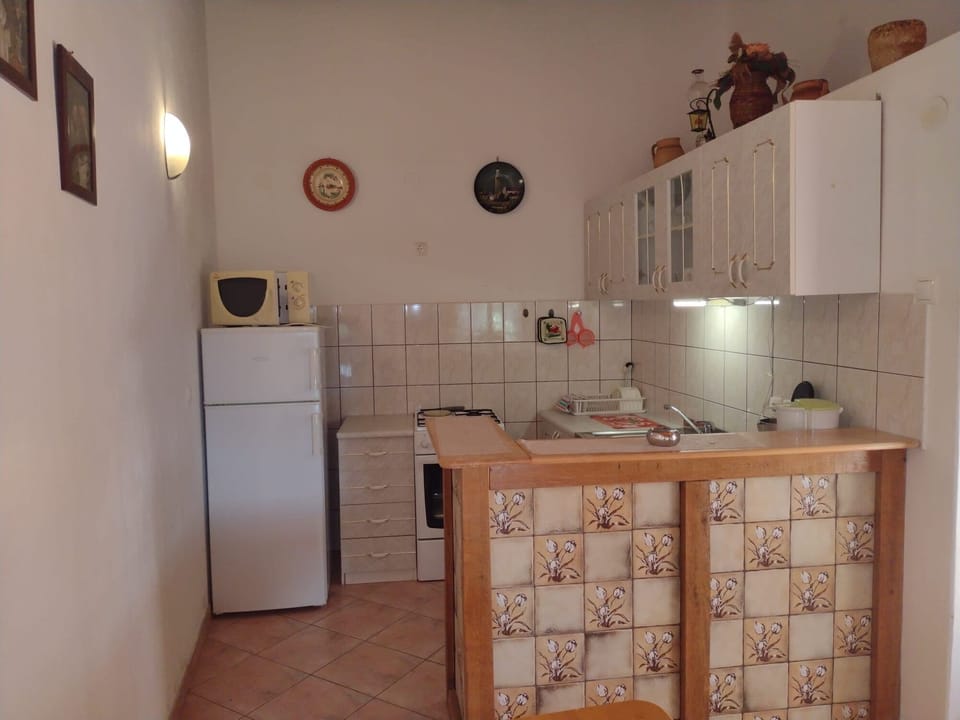 Apartment (A1) | Private kitchen | Fridge, microwave, oven, stovetop