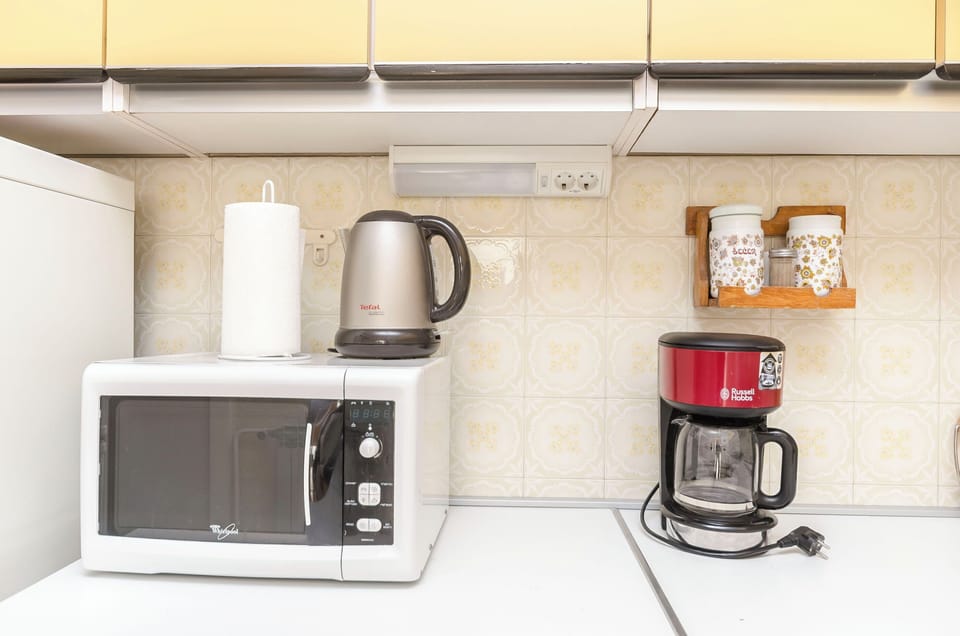 Apartment (A1) | Private kitchen | Fridge, microwave, stovetop, dishwasher