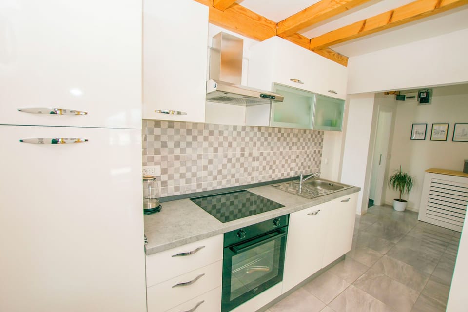 Apartment (A1) | Private kitchen | Fridge, microwave, oven, stovetop